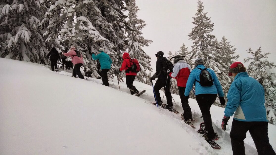 hiking, snowshoeing, tour