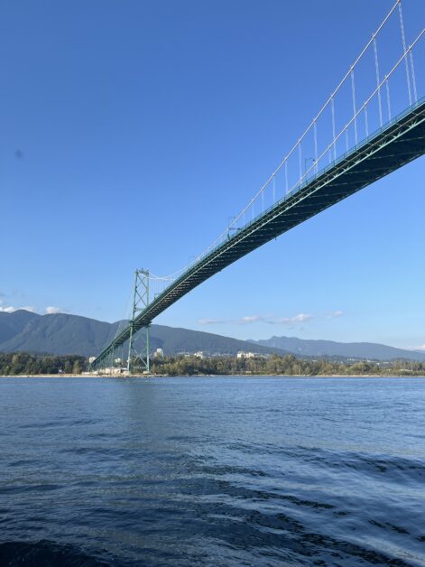 View from Prospect Point in Stanley Park showing Lions Gate Bridge and ocean with VanEcoRide E-bike in the frame