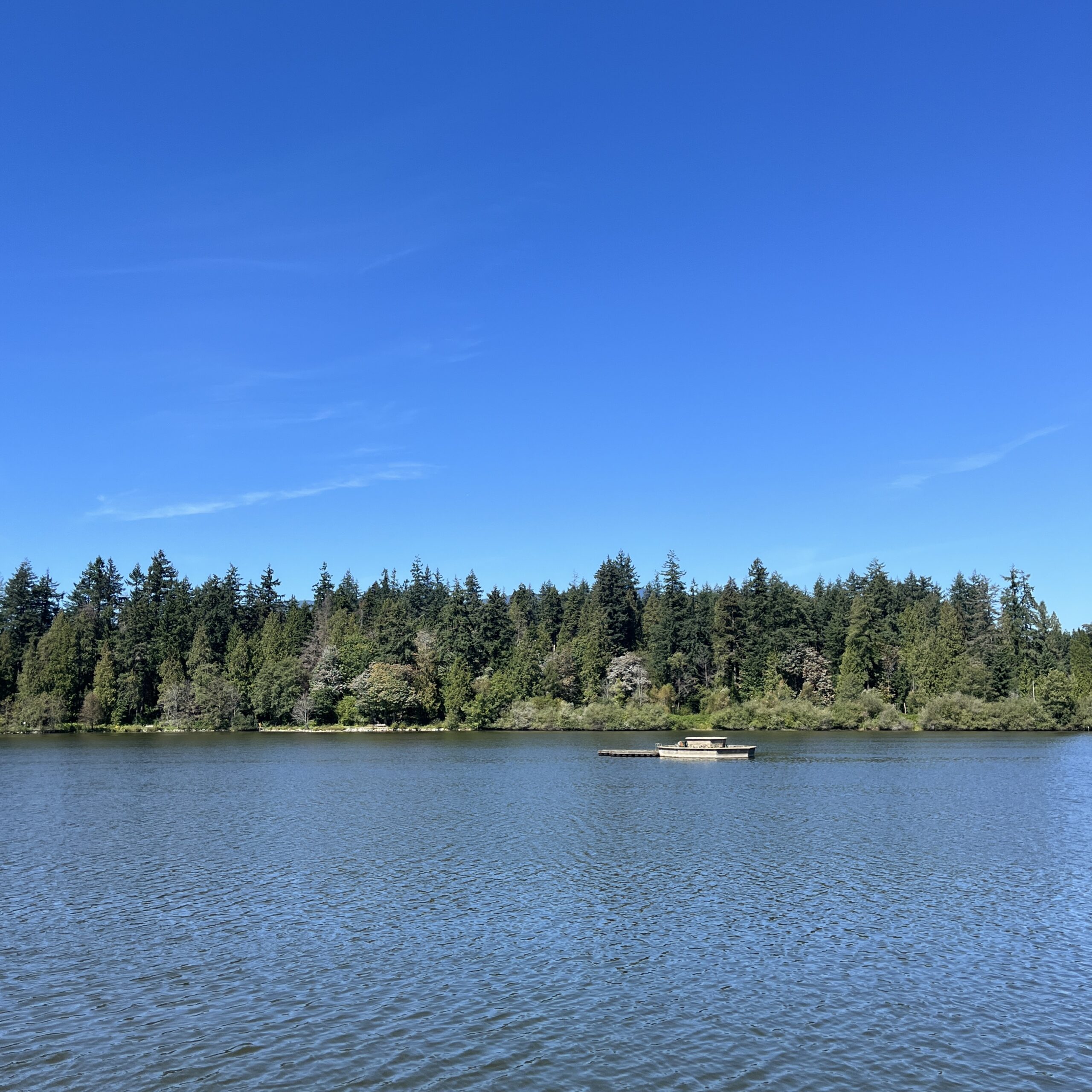 Cyclist riding through Stanley Park on a VanEcoRide E-bike in Vancouver