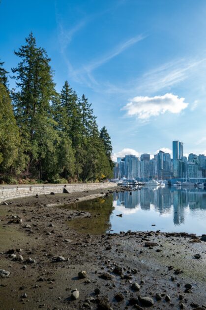 A vertical shot of the reflections of high-rise buildings in the lake of the Stanley Park, Vancouver